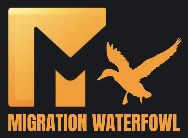 Migration Waterfowl